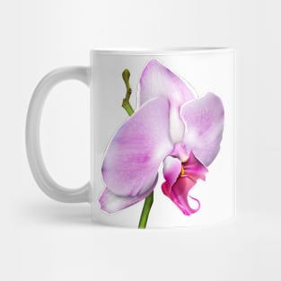 Cherry Blossom Orchid Mug